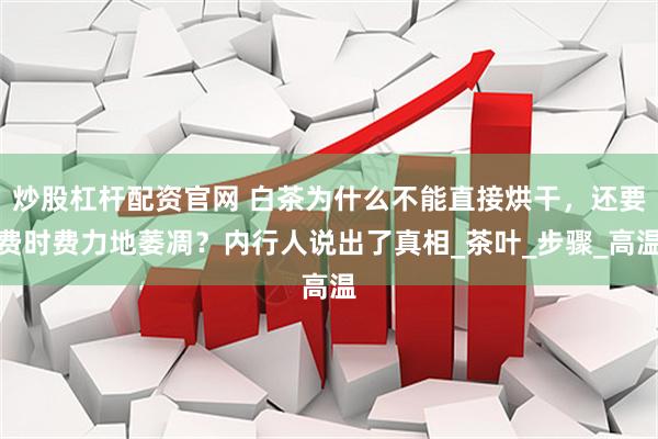 炒股杠杆配资官网 白茶为什么不能直接烘干，还要费时费力地萎凋？内行人说出了真相_茶叶_步骤_高温