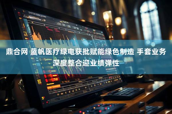鼎合网 蓝帆医疗绿电获批赋能绿色制造 手套业务深度整合迎业绩弹性