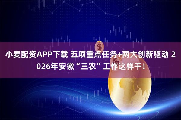 小麦配资APP下载 五项重点任务+两大创新驱动 2026年安徽“三农”工作这样干！